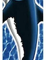 ToyMarkt Τροχοσανίδα Σε 4 Σχέδια (901690) -Ποδήλατα, τρίκυκλα, rollers, scooters Κατάστημα 694311 1